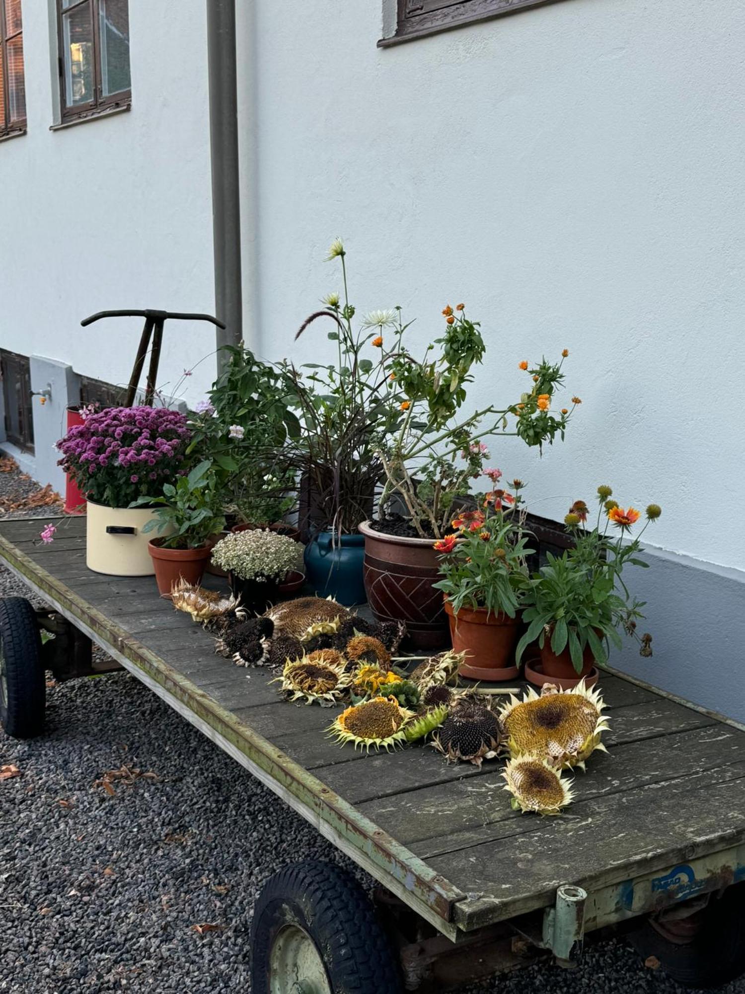 Stf Landskrona Hostel Ландскруна Екстериор снимка